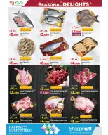 الانتقال إلى الصفحة 59 من 63