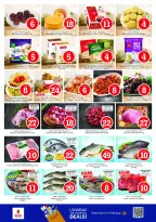 الانتقال إلى الصفحة 13 من 25