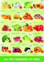 الانتقال إلى الصفحة 3 من 25