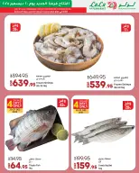 الانتقال إلى الصفحة 7 من 48