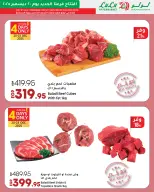 الانتقال إلى الصفحة 5 من 48