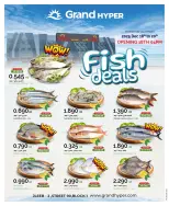 الانتقال إلى الصفحة 1 من 1