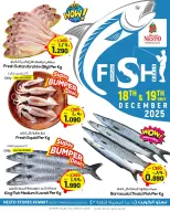 الانتقال إلى الصفحة 1 من 1