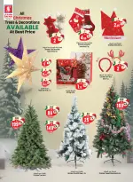 الانتقال إلى الصفحة 24 من 51