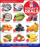 الانتقال إلى الصفحة 1 من 2