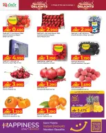 الانتقال إلى الصفحة 2 من 14