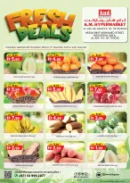 الانتقال إلى الصفحة 1 من 1