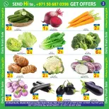 Sun and Sand  Ras Al Khaimah  Offers from 19 to 21 December Fresh Deals