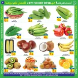 Sun and Sand  Ras Al Khaimah  Offers from 19 to 21 December Fresh Deals