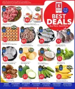 الانتقال إلى الصفحة 1 من 4