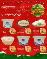 الانتقال إلى الصفحة 4 من 12