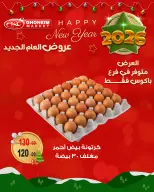 الانتقال إلى الصفحة 5 من 12