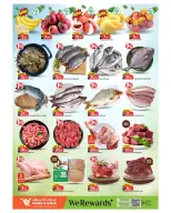 الانتقال إلى الصفحة 14 من 15