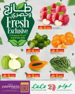 الانتقال إلى الصفحة 1 من 1