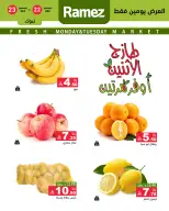 الانتقال إلى الصفحة 2 من 5