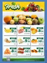 الانتقال إلى الصفحة 14 من 14