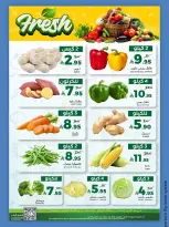 الانتقال إلى الصفحة 13 من 14