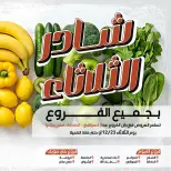 الانتقال إلى الصفحة 1 من 8