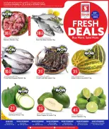 الانتقال إلى الصفحة 1 من 2