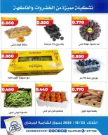 الانتقال إلى الصفحة 5 من 6