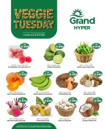 الانتقال إلى الصفحة 2 من 2