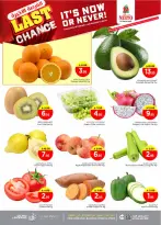 الانتقال إلى الصفحة 2 من 36