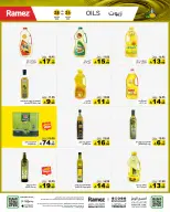 الانتقال إلى الصفحة 4 من 56