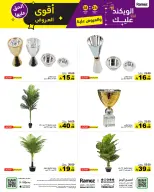 الانتقال إلى الصفحة 46 من 56