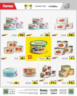 الانتقال إلى الصفحة 10 من 56