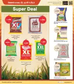 الانتقال إلى الصفحة 9 من 37