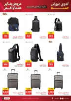 الانتقال إلى الصفحة 7 من 13