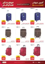 الانتقال إلى الصفحة 6 من 13