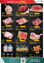 الانتقال إلى الصفحة 19 من 64