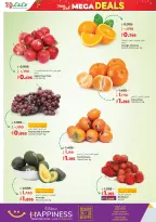 الانتقال إلى الصفحة 20 من 64