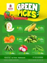 Nesto Bahrain Offers from 25 to 27 December 2025 Green options display
