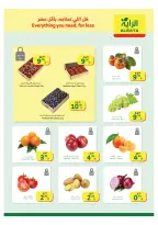 الانتقال إلى الصفحة 2 من 24