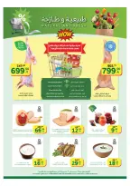 الانتقال إلى الصفحة 24 من 24