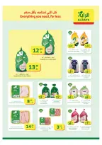 الانتقال إلى الصفحة 6 من 24