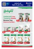 الانتقال إلى الصفحة 8 من 24