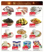 الانتقال إلى الصفحة 4 من 12