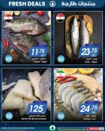 الانتقال إلى الصفحة 5 من 10