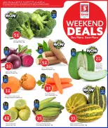 الانتقال إلى الصفحة 3 من 21