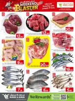 الانتقال إلى الصفحة 4 من 15