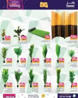 Ramez Markets Qatar Offers from 24 December to 7 January 2026 Year End Deals