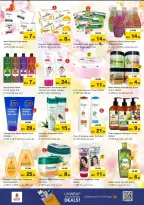 الانتقال إلى الصفحة 14 من 32