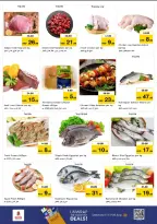 الانتقال إلى الصفحة 14 من 25