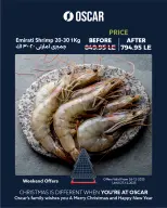 الانتقال إلى الصفحة 3 من 8