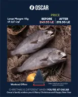 الانتقال إلى الصفحة 2 من 8