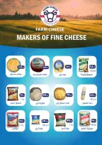 الانتقال إلى الصفحة 28 من 58