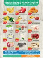 الانتقال إلى الصفحة 3 من 3